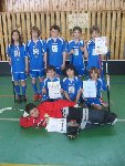 Florbalová liga 2007/08