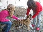 Tygří mládě Tajga 8.A 2009/10