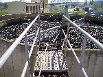Zahradnictví a čistička 1.B 2006/07