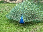 Exkurze ZOO Plzeň 5.A 2006/07